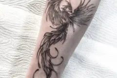 9955974B-7BCD-4BD1-AC3C-E7A4212A30A4-scaled-1