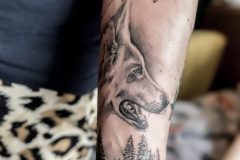 IMG_8264_jpg-scaled-1