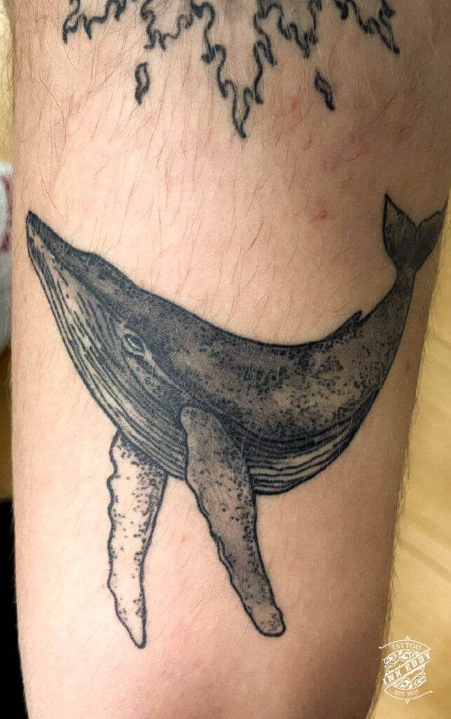 Parantunut ryhävalas tatuointi dotwork tekniikalla